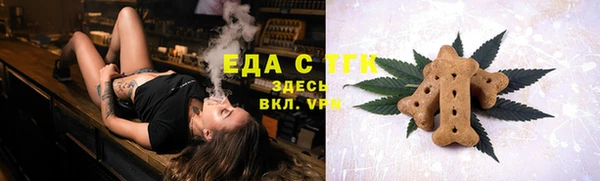 гидра Карпинск