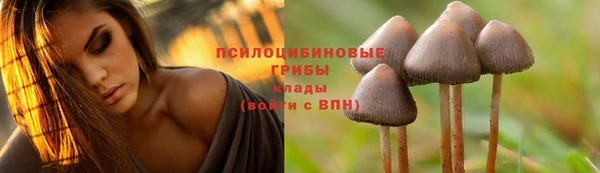 спайс Домодедово