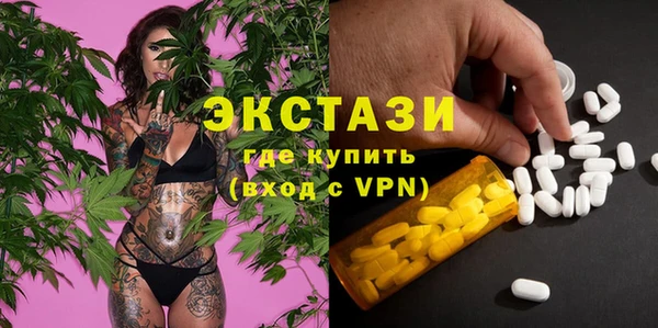 гидра Карпинск