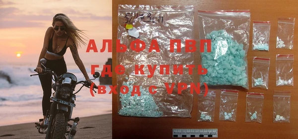 гидра Карпинск