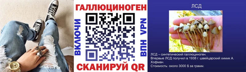 Псилоцибиновые грибы мицелий  нарко площадка телеграм  Конаково 