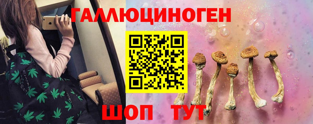 Конаково  Галлюциногенные грибы мухоморы  Вход с VPN 